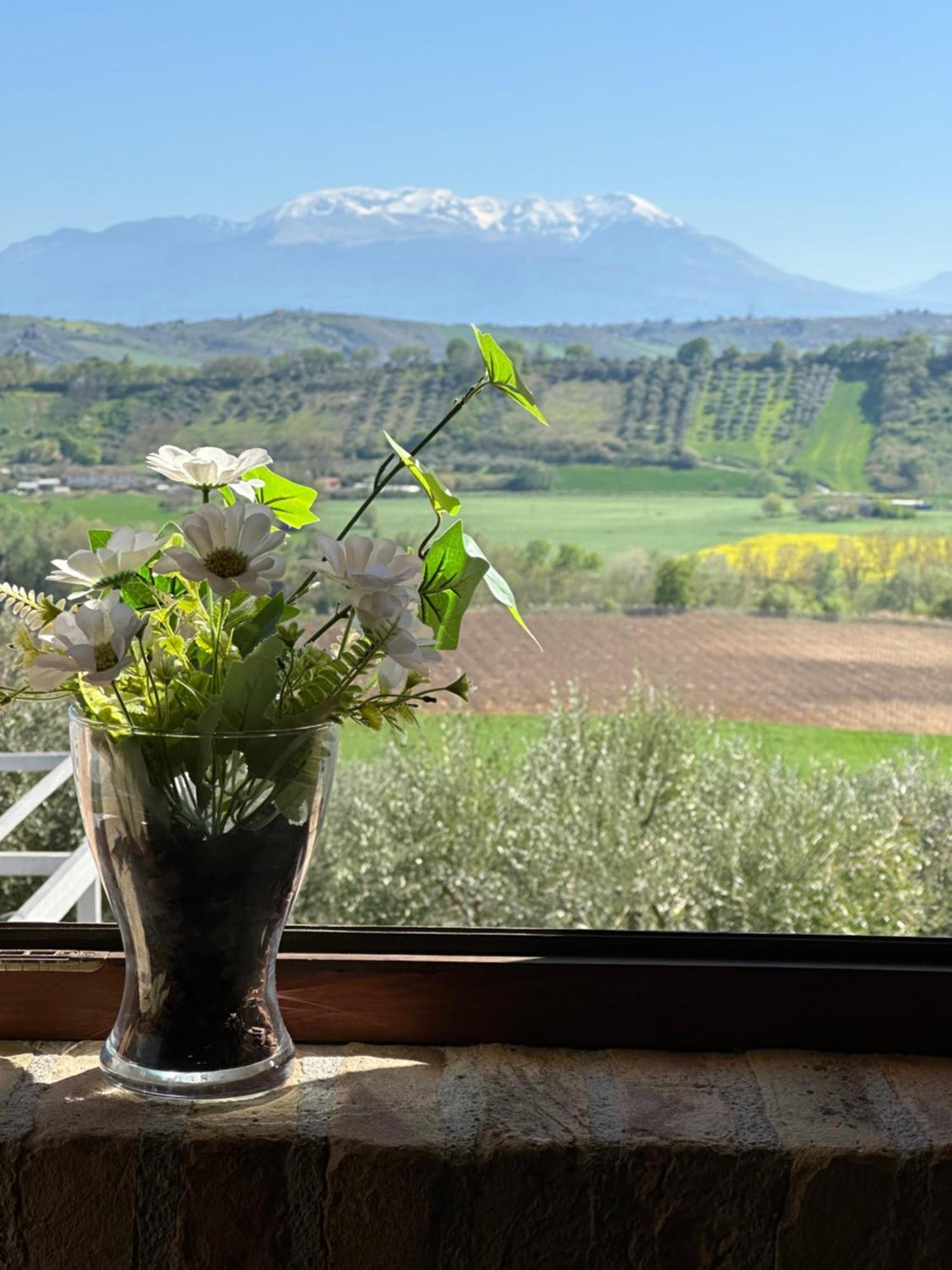 Il Podere Degli Asinelli Città Sant'Angelo Exterior foto
